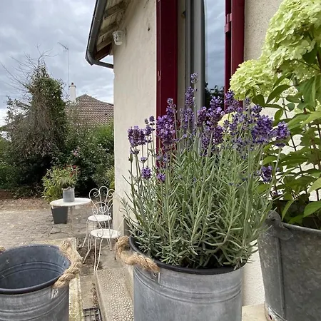 Charmante Maison Avec Jardin En Face Du Parc, Proche Commerces Et Attractions Touristiques - Fr-1-489-333 Nyaraló