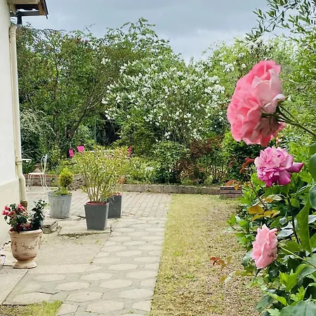 Charmante Maison Avec Jardin En Face Du Parc, Proche Commerces Et Attractions Touristiques - Fr-1-489-333 * Moulins