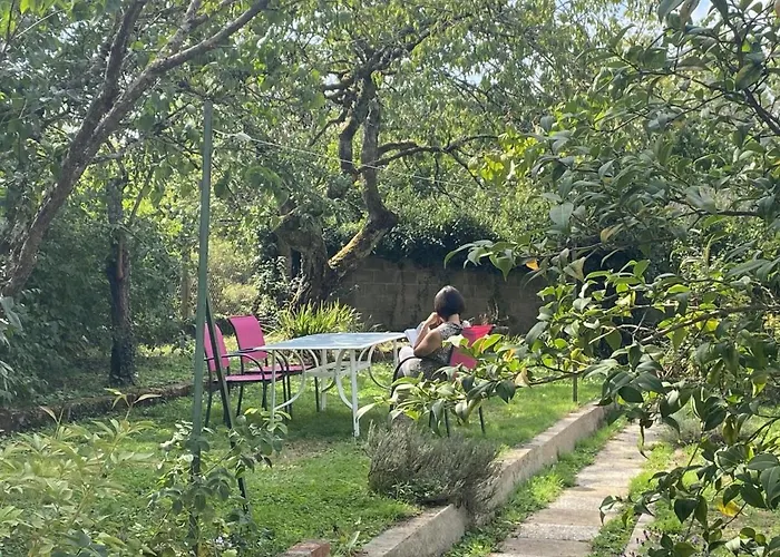 Charmante Maison Avec Jardin En Face Du Parc, Proche Commerces Et Attractions Touristiques - Fr-1-489-333 * Moulins (Allier)