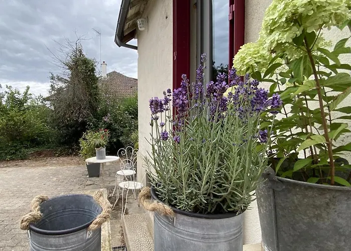 Charmante Maison Avec Jardin En Face Du Parc, Proche Commerces Et Attractions Touristiques - Fr-1-489-333 Casa vacanze