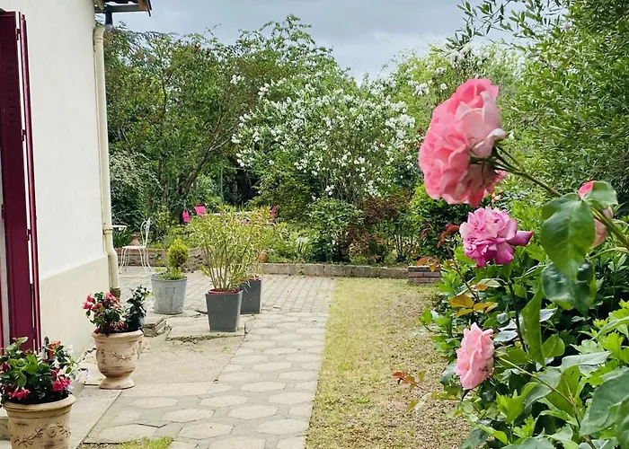 Charmante Maison Avec Jardin En Face Du Parc, Proche Commerces Et Attractions Touristiques - Fr-1-489-333 * Moulins (Allier)